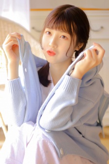 秘密女搜查官系列